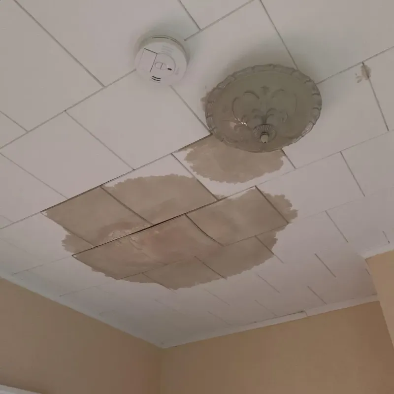 Ceiling Water Damage Repair in Iroquois County, IL
