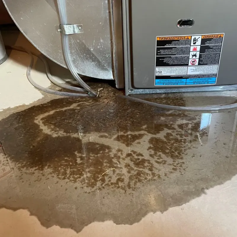 Pipe Burst and Leak Restoration in Iroquois County, IL