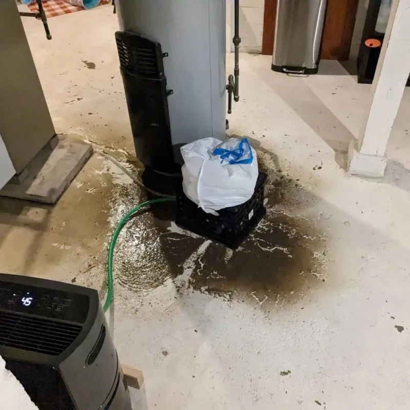 Sewage Backup Cleanup Service in Iroquois County, IL